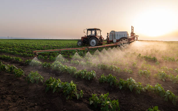 Best Pest Removal Services  in Courtland, VA