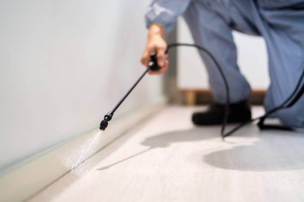 Pest Control for Restaurants in Courtland, VA