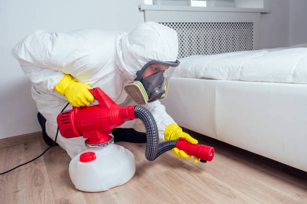 Best Bed Bug Extermination  in Courtland, VA