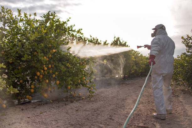 Best Pest Control Near Me  in Courtland, VA