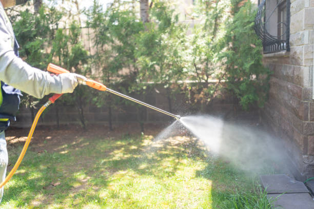 Best Flea Control Services  in Courtland, VA