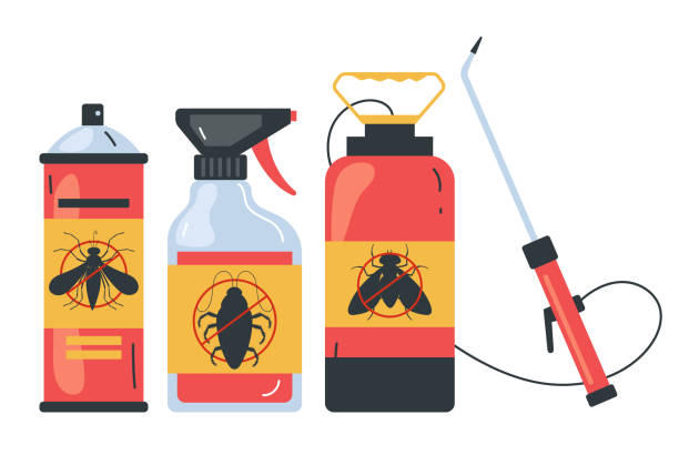 Best Spider Control Near Me  in Courtland, VA