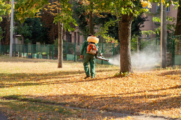 Professional Pest Control in Courtland, VA