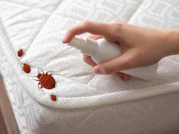 Best Pest Inspection Near Me  in Courtland, VA