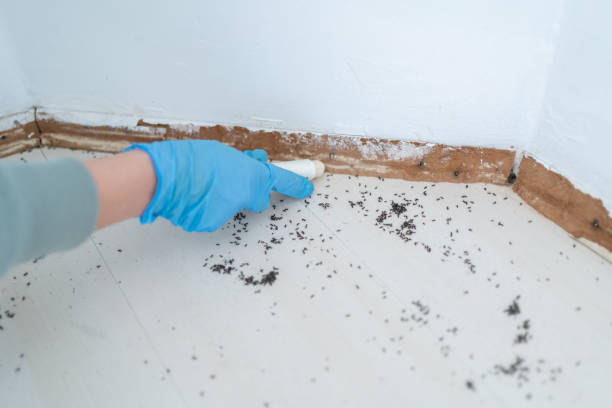 Best Best Pest Control Companies  in Courtland, VA