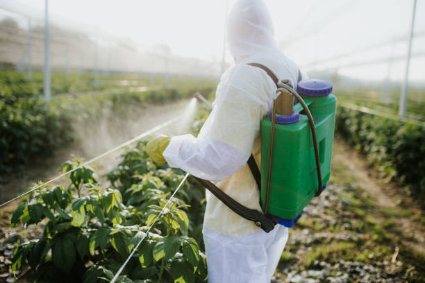 Best Cockroach Control Services  in Courtland, VA